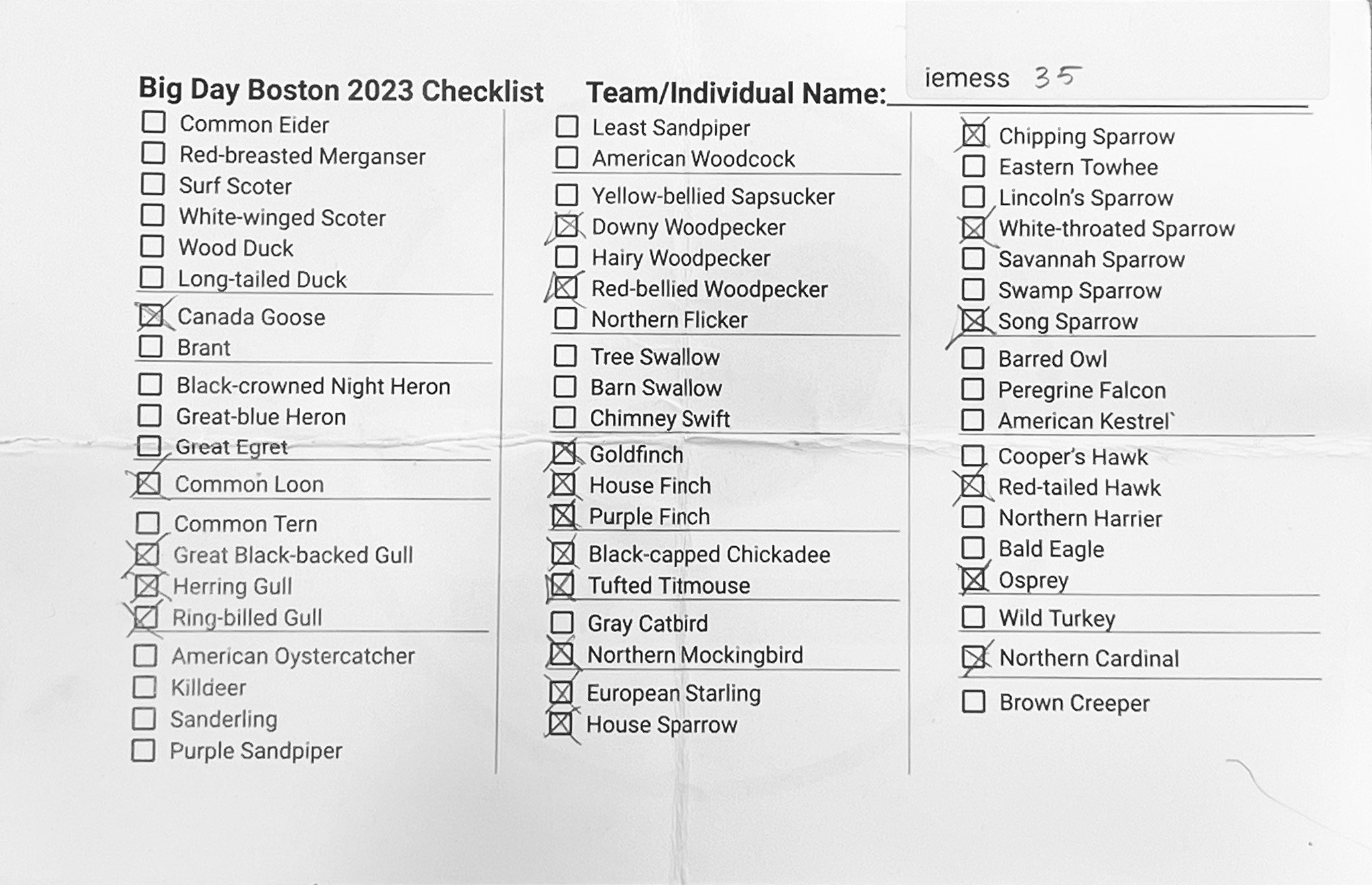 Big Day Boston 2023 winning checklist - Ingrid Messbauer - front